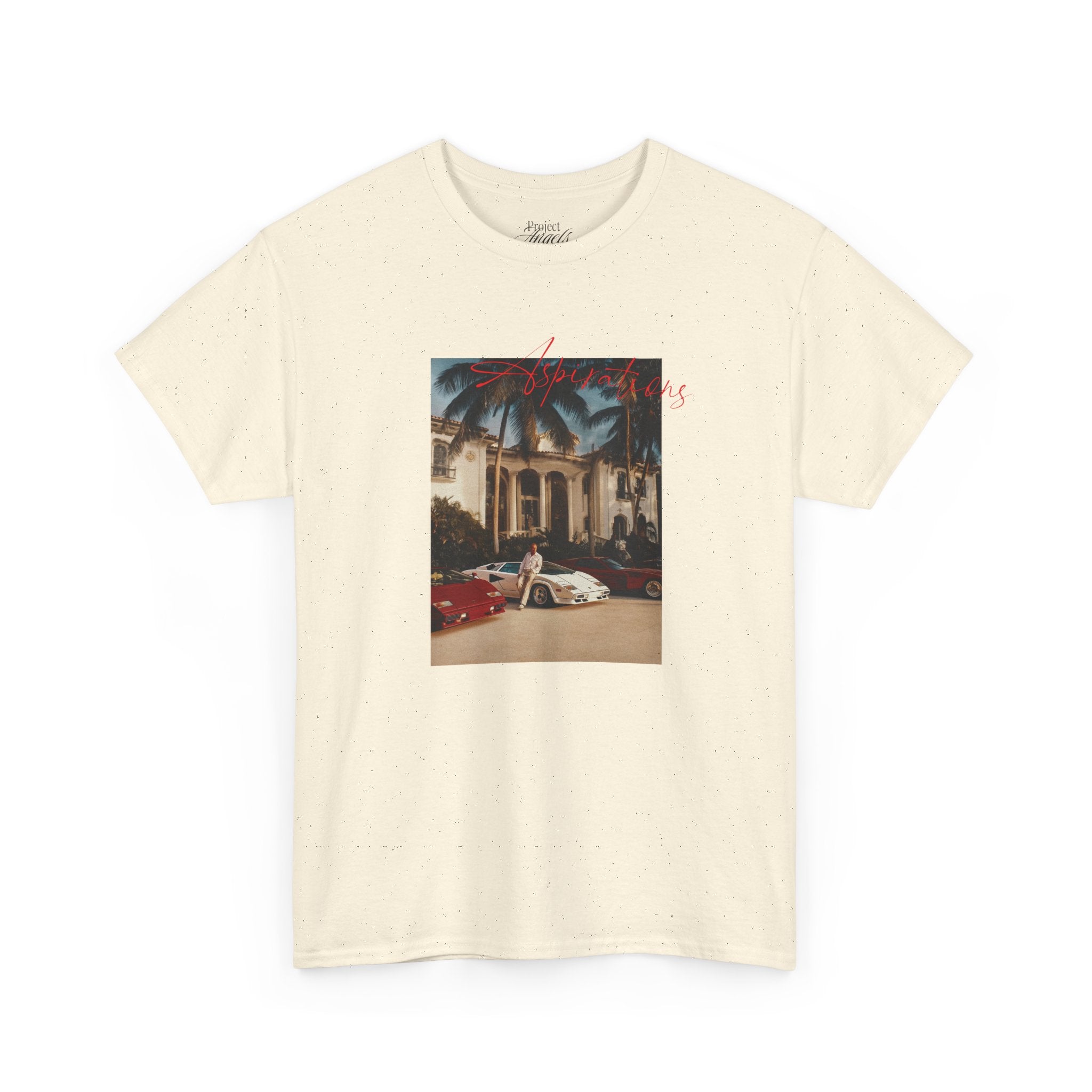 ASPIRATIONS TEE